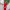 https://res.cloudinary.com/billionhands/image/upload/v1775355231/items/mlxhbageklvtpp241ppk.jpg-3cover