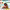 https://res.cloudinary.com/billionhands/image/upload/v1775355840/items/osfacyaehe5g8fv0icri.jpg-3cover