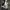 https://res.cloudinary.com/billionhands/image/upload/v1775355882/items/boid5wu3ls87ifuqmpvs.jpg-1cover