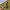 https://res.cloudinary.com/billionhands/image/upload/v1775356238/items/xijfgtijtonixxhv3wcq.jpg-3cover