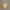https://res.cloudinary.com/billionhands/image/upload/v1775356286/items/vugsm8oqpjijzxqecke0.webp-0cover
