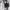 https://res.cloudinary.com/billionhands/image/upload/v1775356437/items/txfkcfqlzmur0sokgcu5.webp-1cover