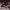 https://res.cloudinary.com/billionhands/image/upload/v1775356438/items/nltqoxtftiv6yk2uufn9.jpg-3cover