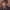 https://res.cloudinary.com/billionhands/image/upload/v1775356466/items/twno1hdfkurmfsnm9jp9.jpg-0cover