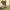 https://res.cloudinary.com/billionhands/image/upload/v1775356470/items/m0fdlpeugukgz3lwwy1r.jpg-3cover