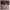 https://res.cloudinary.com/billionhands/image/upload/v1775356480/items/gqhzkwwrdy76dgk9e0s2.jpg-3cover