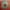 https://res.cloudinary.com/billionhands/image/upload/v1775356481/items/nvpiuzefks7ofjntmfky.jpg-0cover