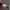 https://res.cloudinary.com/billionhands/image/upload/v1775356841/items/mncs9ofd0xep0h88qkjm.png-1cover