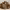 https://res.cloudinary.com/billionhands/image/upload/v1775356954/items/gzt8bwmclsll1foyxcid.jpg-2cover
