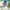 https://res.cloudinary.com/billionhands/image/upload/v1775357058/items/aocwqbqdvfavovwx5vfj.jpg-3cover