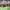 https://res.cloudinary.com/billionhands/image/upload/v1775357103/items/rlumveju395rpgo6qdwk.jpg-3cover