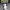 https://res.cloudinary.com/billionhands/image/upload/v1775357176/items/nrgecphuyspbgq4zuiuv.jpg-3cover