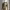 https://res.cloudinary.com/billionhands/image/upload/v1775357832/items/csymblbzatndtxxymusm.webp-0cover