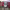 https://res.cloudinary.com/billionhands/image/upload/v1775358294/items/cquwths2jrb6eubopln2.jpg-3cover