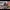 https://res.cloudinary.com/billionhands/image/upload/v1775358437/items/ti52wmjh7msali4vsqce.jpg-0cover