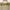 https://res.cloudinary.com/billionhands/image/upload/v1775358632/items/eacorfwbu8dkdma6gisa.webp-3cover