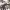 https://res.cloudinary.com/billionhands/image/upload/v1775359290/items/wtnpf6zdysrogxeoqnu6.jpg-2cover