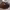 https://res.cloudinary.com/billionhands/image/upload/v1775359458/items/qywskatrxughiwf5ddul.jpg-1cover