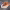 https://res.cloudinary.com/billionhands/image/upload/v1775359479/items/iv0ofoso3i4tpcehayxm.jpg-0cover