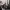 https://res.cloudinary.com/billionhands/image/upload/v1775360487/items/cqqhwgdysxpa70tlmr6i.webp-0cover