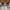 https://res.cloudinary.com/billionhands/image/upload/v1775360489/items/uldacpyshws1pavwbnfc.webp-1cover