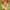 https://res.cloudinary.com/billionhands/image/upload/v1775360928/items/uulzrthp6lypbc1qit4h.avif-3cover