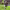 https://res.cloudinary.com/billionhands/image/upload/v1775361357/items/wfb8h72pdnn6cbnkjkpj.jpg-1cover