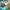https://res.cloudinary.com/billionhands/image/upload/v1775361878/items/oj8yreu3vutadozti30x.jpg-1cover