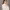 https://res.cloudinary.com/billionhands/image/upload/v1775362472/items/y30a3kcz7lk1ufaaz0qv.jpg-0cover