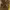https://res.cloudinary.com/billionhands/image/upload/v1775363235/items/nmjxviaefaezykiafv0u.jpg-1cover