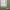 https://res.cloudinary.com/billionhands/image/upload/v1775363401/items/zdmprrgnrbtk4kvkuro9.jpg-1cover