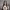 https://res.cloudinary.com/billionhands/image/upload/v1775364261/items/bpu8timye1sfxkxllxnt.jpg-0cover