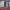 https://res.cloudinary.com/billionhands/image/upload/v1775364495/items/yfjmyweb8yo3uwx22dsk.jpg-0cover