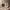 https://res.cloudinary.com/billionhands/image/upload/v1775364511/items/jvkilxih5m2tdwywteht.webp-3cover