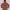 https://res.cloudinary.com/billionhands/image/upload/v1775364782/items/wwmimon3dcufpbotcjvg.webp-0cover