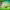 https://res.cloudinary.com/billionhands/image/upload/v1775365505/items/qaspprmy64vfeoafcxek.webp-2cover