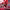https://res.cloudinary.com/billionhands/image/upload/v1775365695/items/m3xzrbmdtp7lcauspoct.webp-2cover