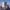 https://res.cloudinary.com/billionhands/image/upload/v1775365778/items/yu0jqwdfspsqbilgcruh.jpg-0cover