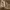 https://res.cloudinary.com/billionhands/image/upload/v1775366063/items/ahxpjdqqzmb4sasvwtpz.jpg-3cover