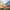 https://res.cloudinary.com/billionhands/image/upload/v1775366222/items/cklxfhuicuk07thpzonk.jpg-1cover
