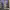 https://res.cloudinary.com/billionhands/image/upload/v1775367060/items/muginyybn7abgb6vcbtc.jpg-1cover