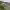 https://res.cloudinary.com/billionhands/image/upload/v1775367060/items/v59nzvveubekg1yuua4z.jpg-0cover