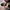 https://res.cloudinary.com/billionhands/image/upload/v1775367436/items/qiczs7fezniprkz9ssde.png-2cover