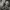 https://res.cloudinary.com/billionhands/image/upload/v1775367658/items/acdyq7bo5w0zmasxny3y.jpg-3cover