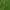 https://res.cloudinary.com/billionhands/image/upload/v1775367674/items/rwmx0lo7eofkbnj8rk4c.jpg-2cover