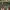 https://res.cloudinary.com/billionhands/image/upload/v1775367899/items/mlm9uvboz8ewjavptij5.jpg-2cover