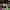 https://res.cloudinary.com/billionhands/image/upload/v1775367909/items/xvavrnxeci7gvfromos0.jpg-3cover