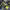 https://res.cloudinary.com/billionhands/image/upload/v1775367913/items/c4vwjt9wwivhcoidnhck.avif-3cover
