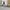 https://res.cloudinary.com/billionhands/image/upload/v1775368064/items/z17vw4gnvqdaudadkduw.webp-3cover
