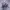 https://res.cloudinary.com/billionhands/image/upload/v1775368266/items/aoukgqcyiedpobozdpvp.jpg-3cover